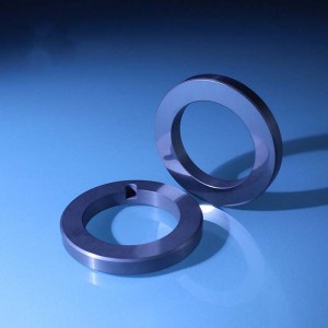 Silicon nitride ceramic seal ring