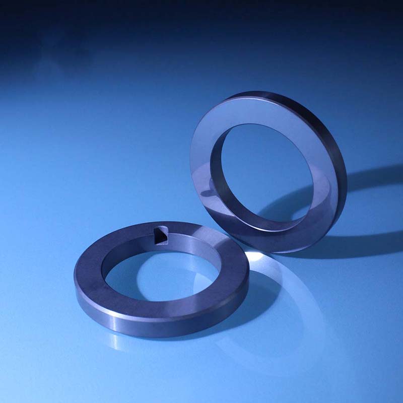 Silicon nitride ceramic seal ring